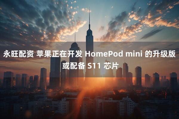 永旺配资 苹果正在开发 HomePod mini 的升级版 或配备 S11 芯片