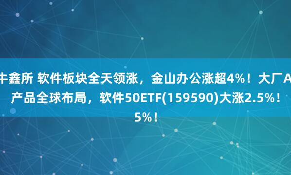 牛鑫所 软件板块全天领涨，金山办公涨超4%！大厂AI产品全球布局，软件50ETF(159590)大涨2.5%！